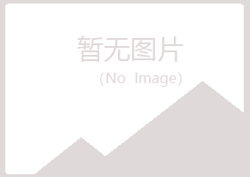 铁山区腐朽会计有限公司